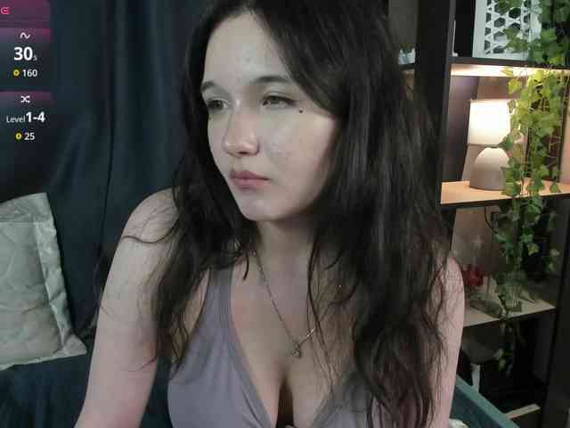 DanaWhisper webcam