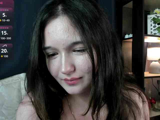 DanaWhisper webcam