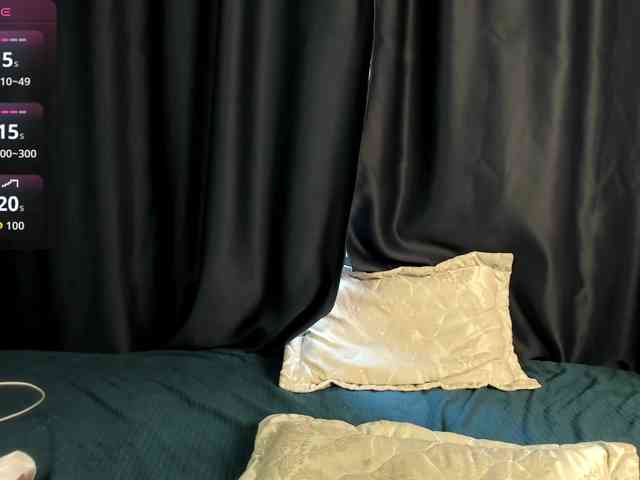DanaWhisper webcam