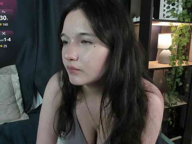 DanaWhisper webcam