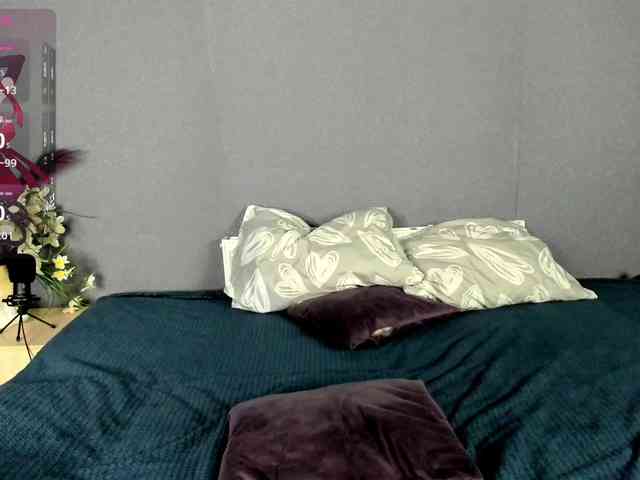 DanaWhisper webcam