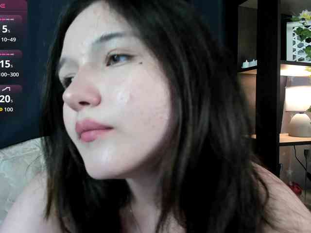 DanaWhisper webcam