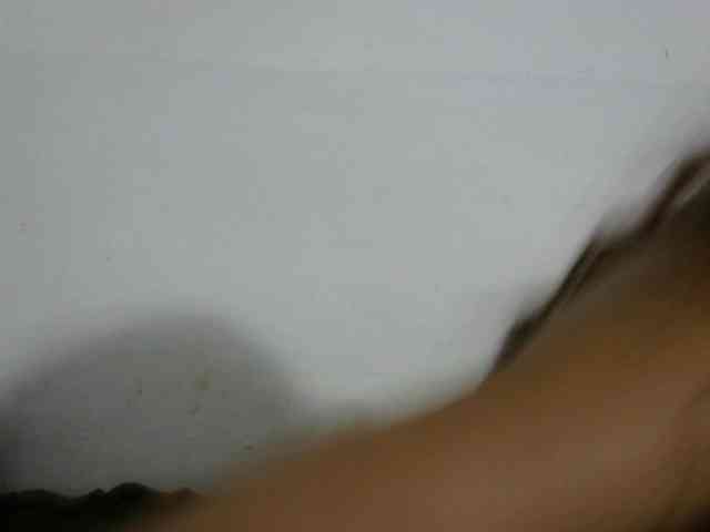 Anelah webcam