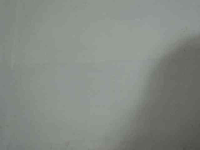 Anelah webcam