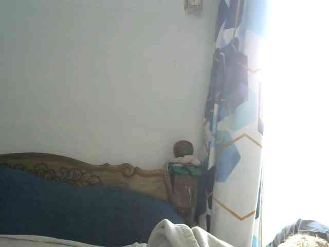 Anelah webcam