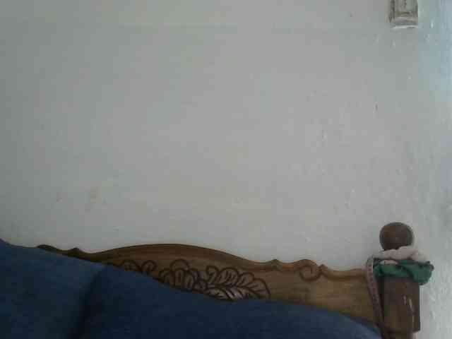 Anelah webcam