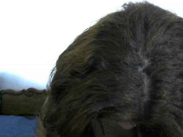 Anelah webcam