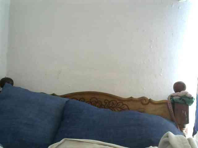 Anelah webcam