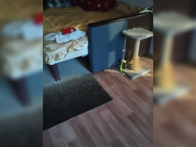 Nadina-1 live webcam show