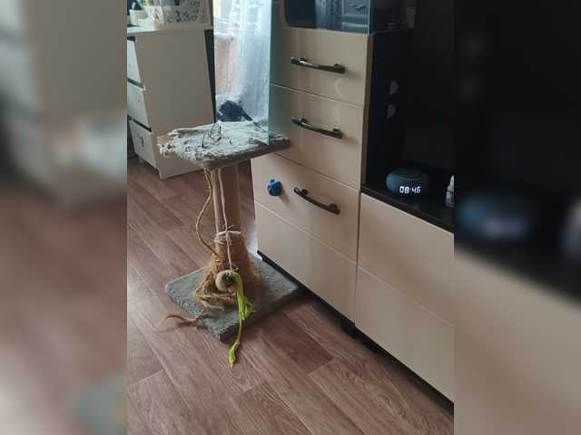 Nadina-1 live cam on BongaCams