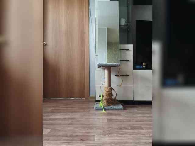 Модель: Nadina-1