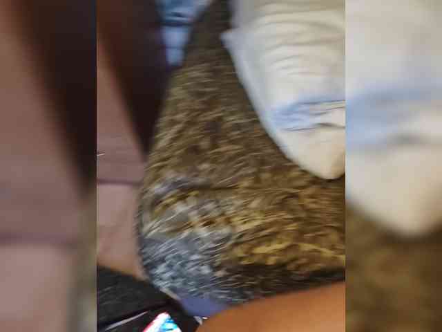 Nadina-1 webcam