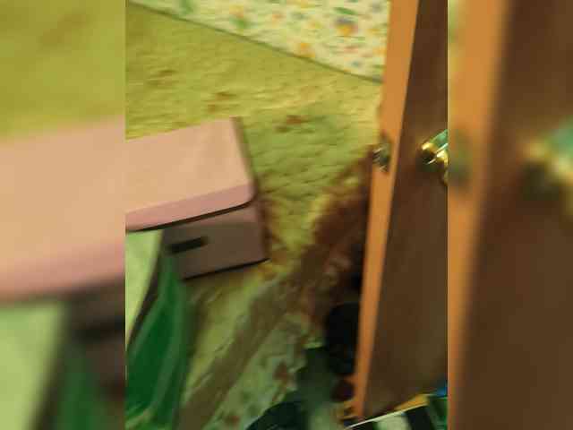 Nadina-1 webcam