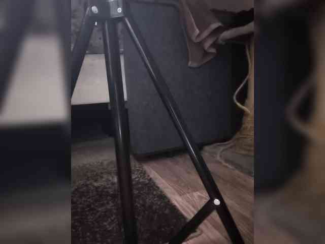 Nadina-1 webcam