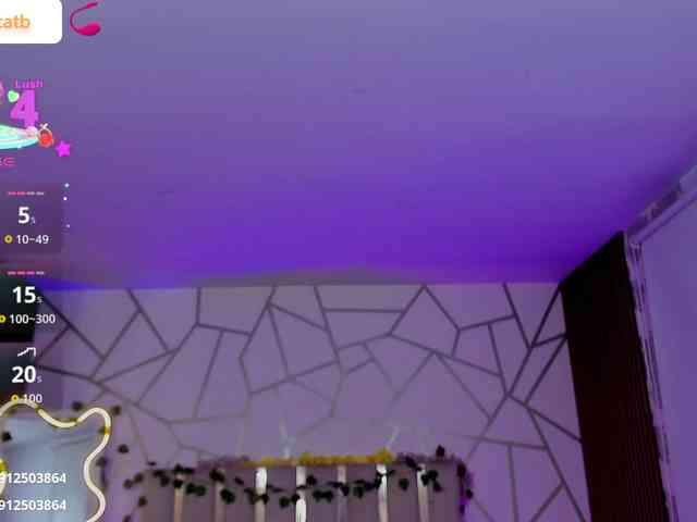 CASSE-TAY webcam