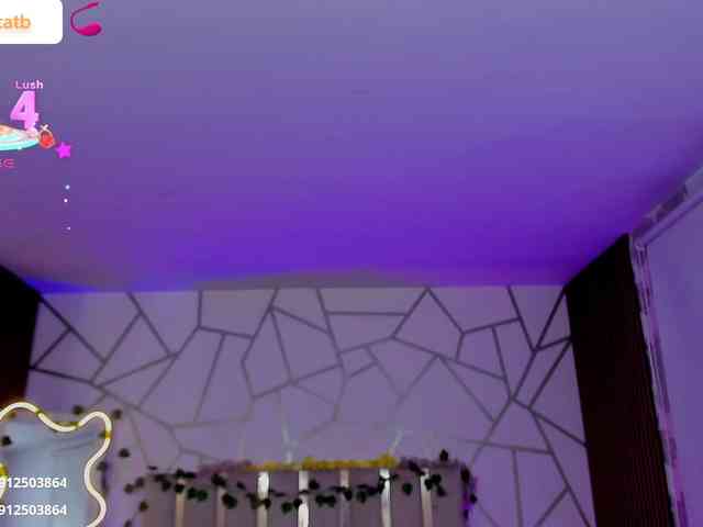 CASSE-TAY webcam