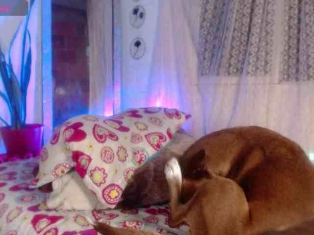 mar-18 webcam