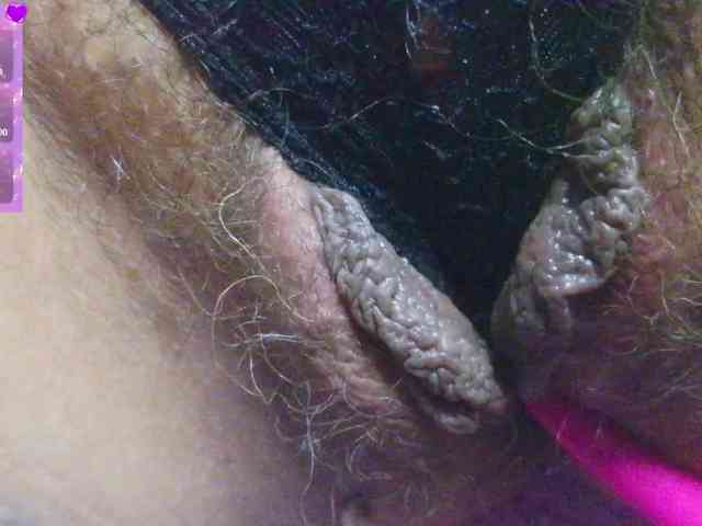 zamymorris webcam