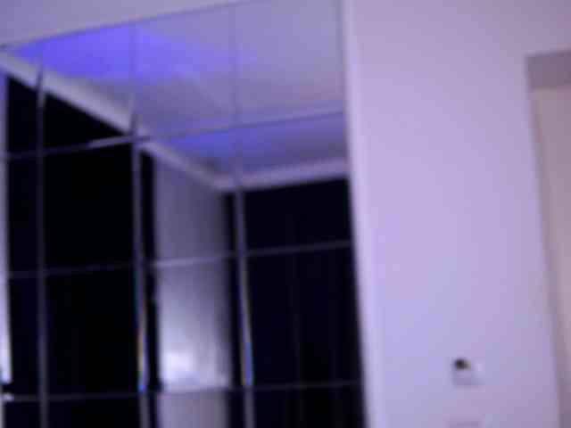 CelesteArden