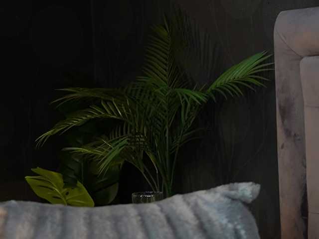CelineHeaven live cam on BongaCams