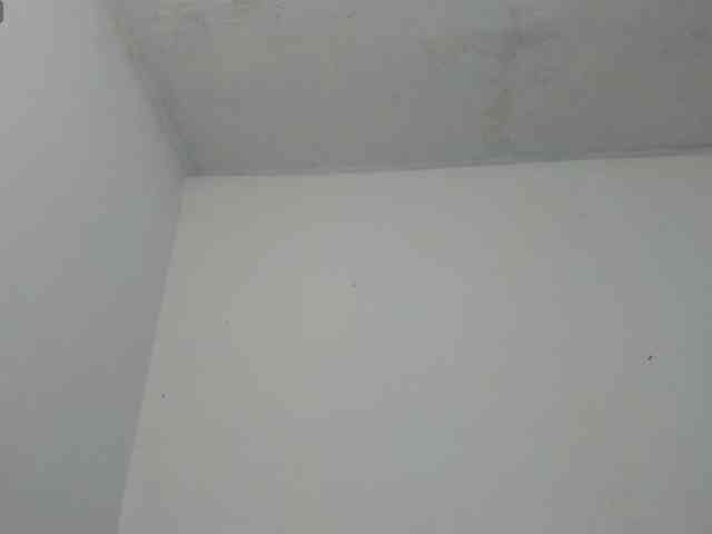 miaapons webcam