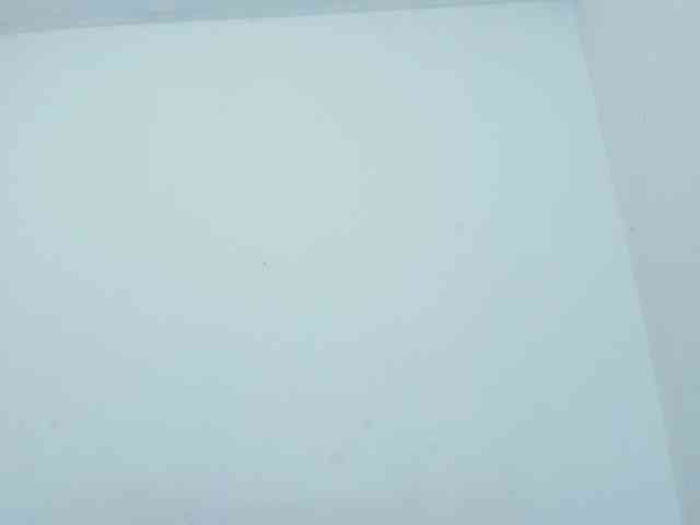 miaapons webcam