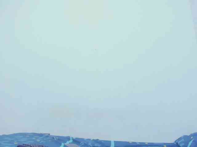 miaapons webcam
