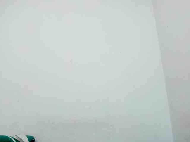 miaapons webcam