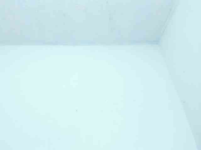miaapons webcam