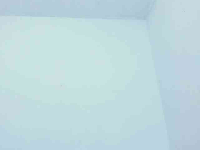 miaapons webcam