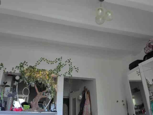 BohoBabeLexy webcam