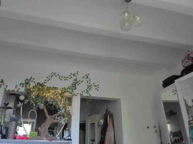 BohoBabeLexy webcam