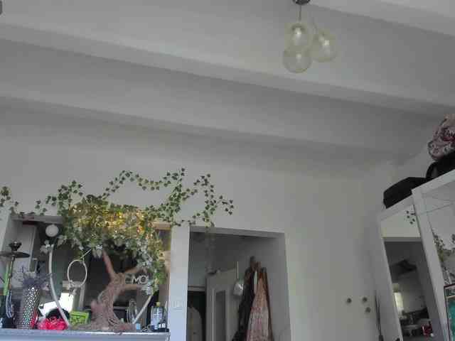 BohoBabeLexy webcam