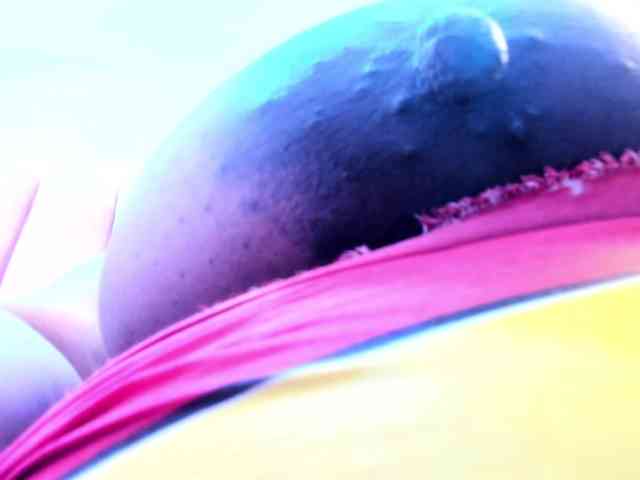 BloomBbw