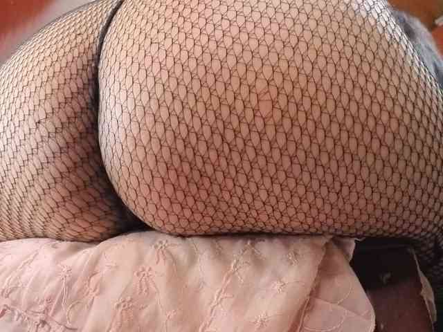 catasexy