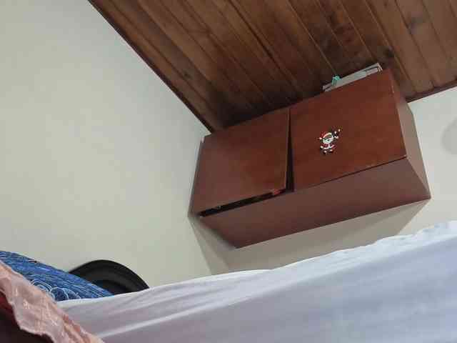 catasexy webcam