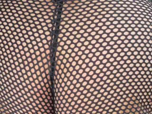 catasexy webcam