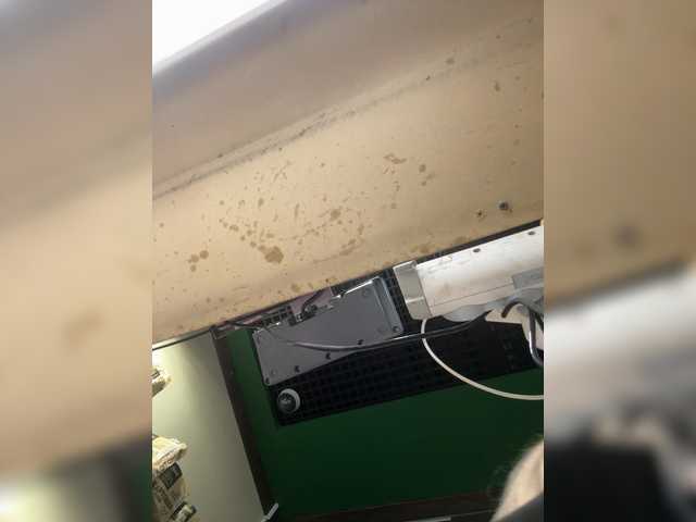kiramalina live sex