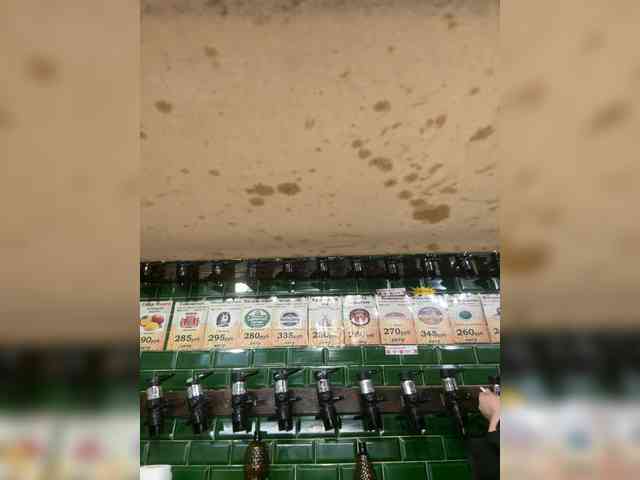 KiraMalina webcam