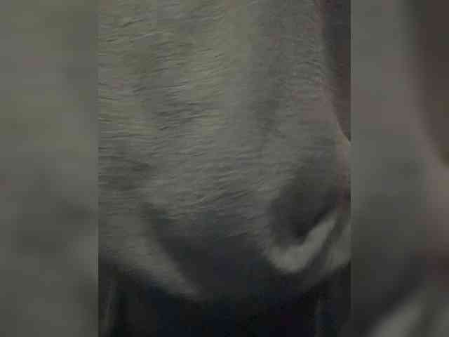 KiraMalina webcam