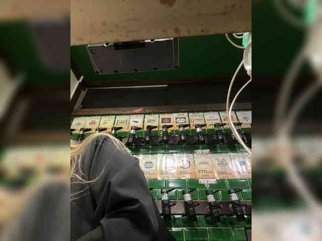 KiraMalina webcam