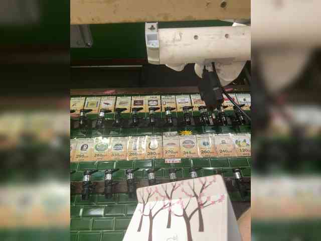 KiraMalina webcam