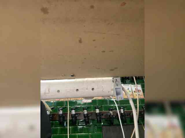 KiraMalina webcam