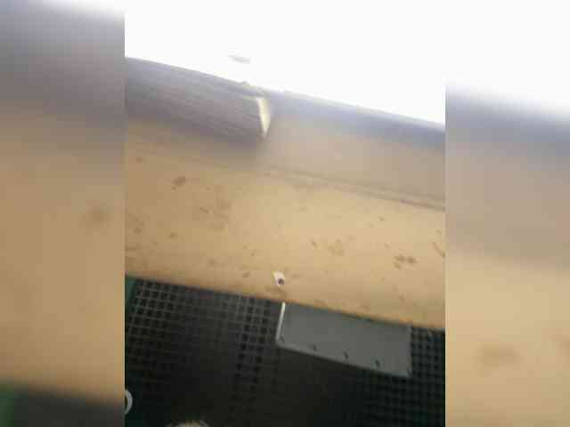 KiraMalina webcam