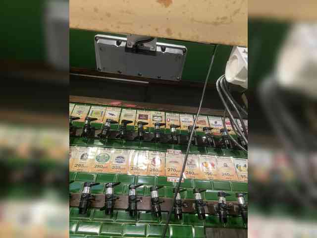 KiraMalina webcam