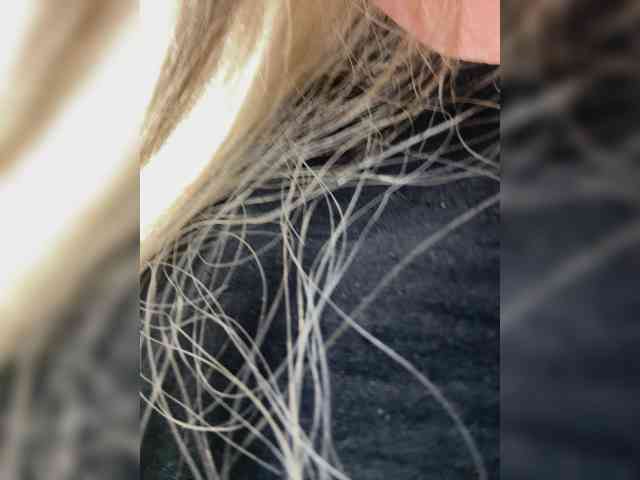 KiraMalina webcam