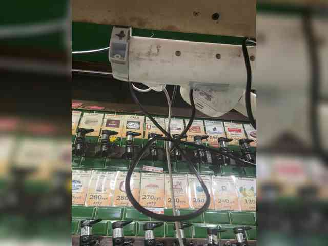 KiraMalina webcam
