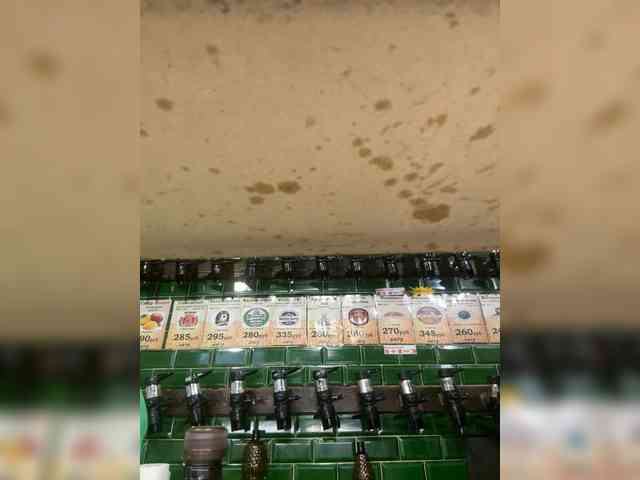 KiraMalina webcam