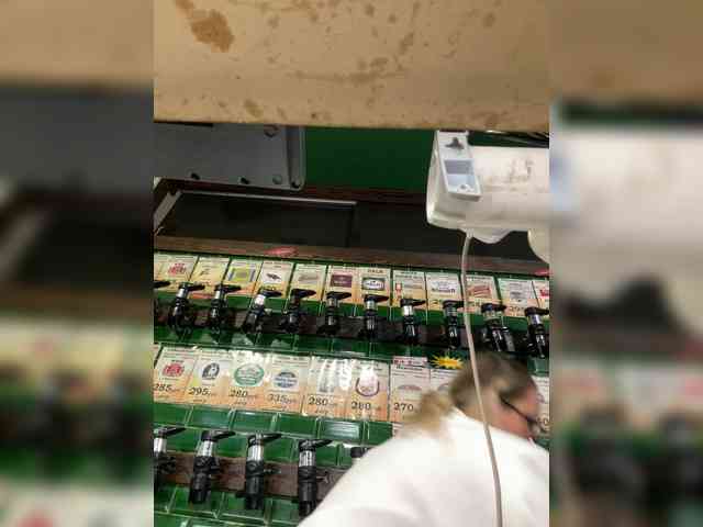 KiraMalina webcam