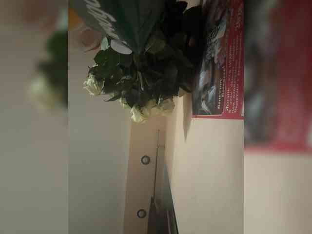 KiraMalina webcam